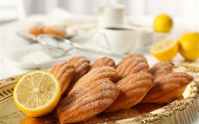 Golden Lemon Madeleines from the French Countryside