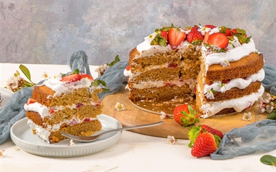 Royal Victoria Sponge Cake – A Triple Layer Celebration